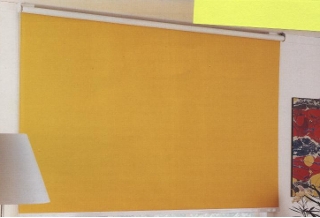 immagineHome di Signorelli2001